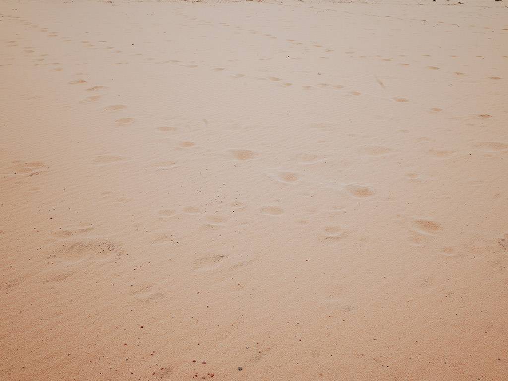 bãi cát