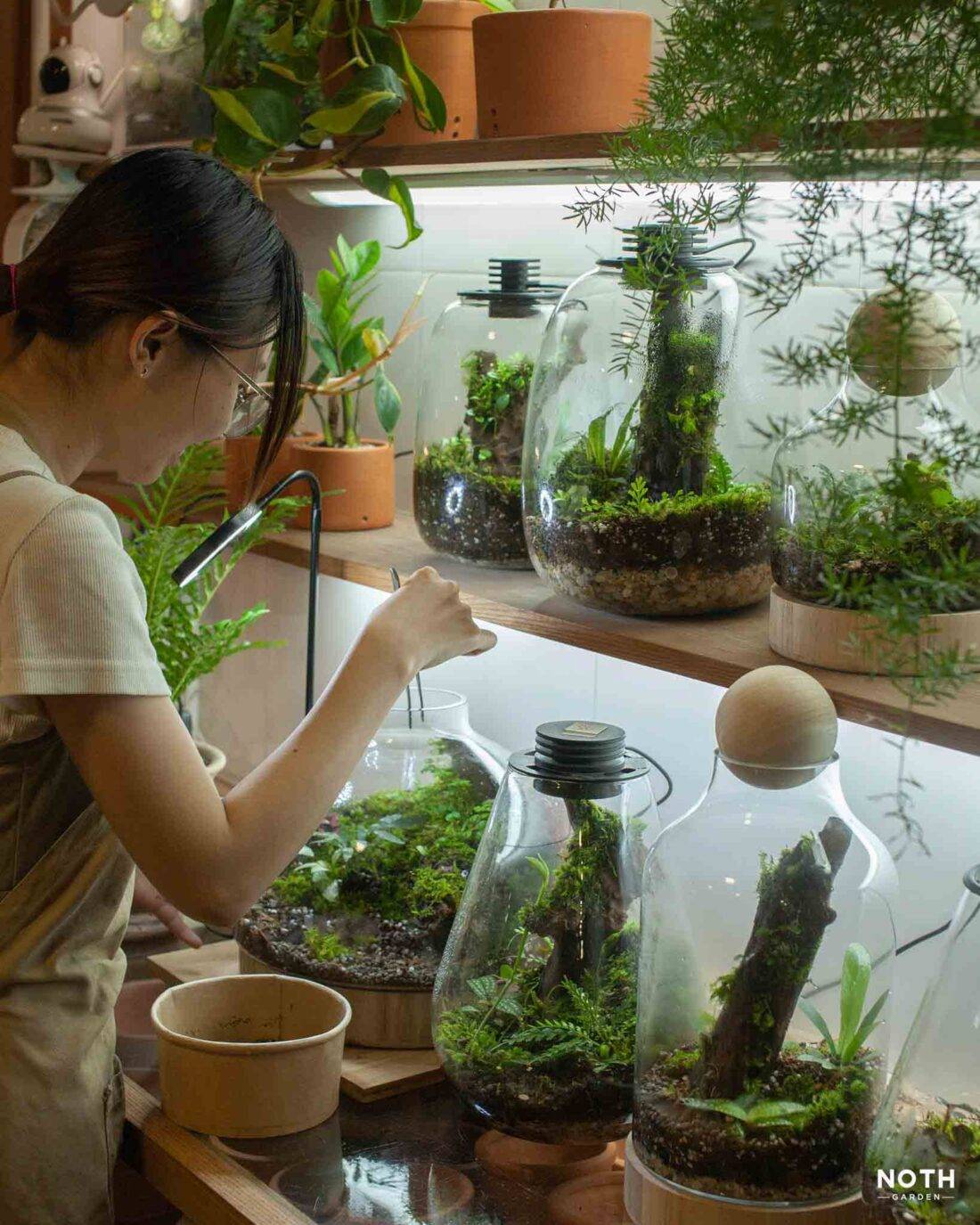 Terrarium và 