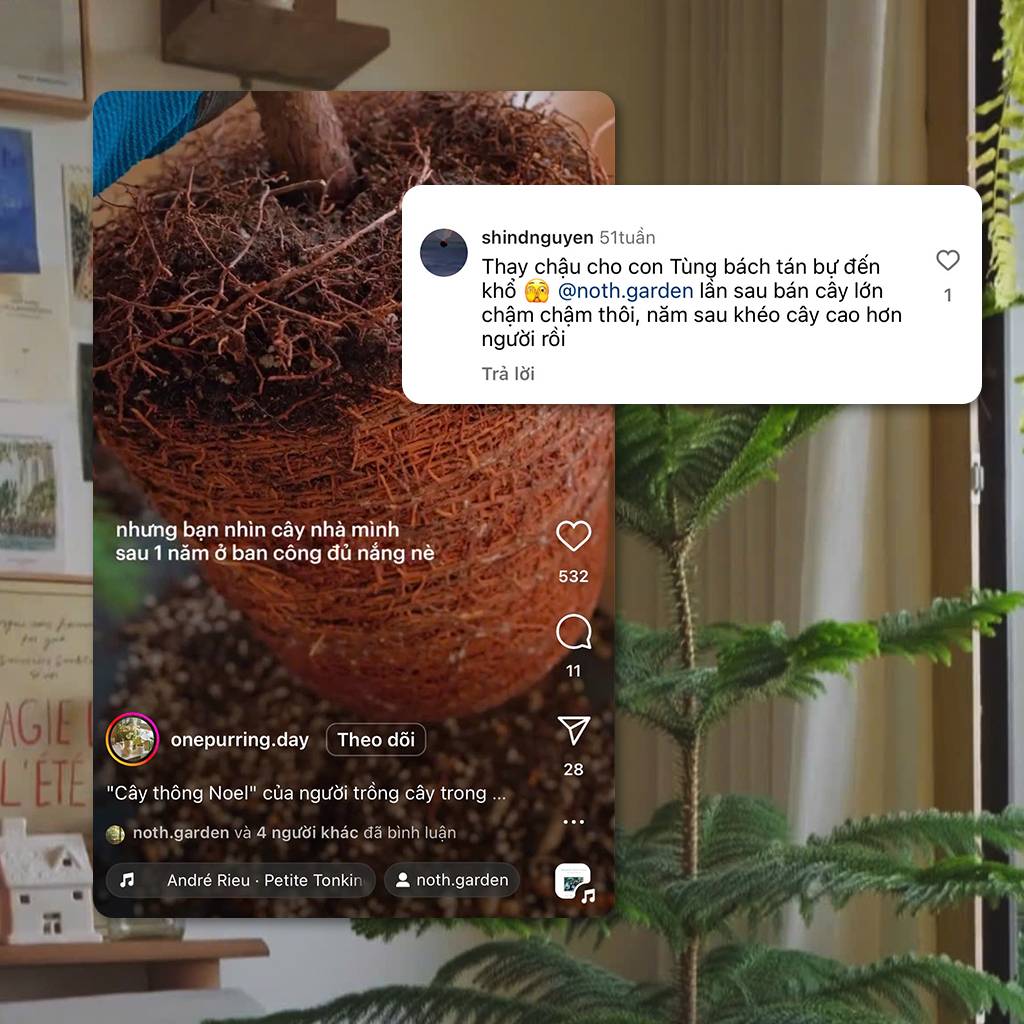 feedback-noth-bach-tan