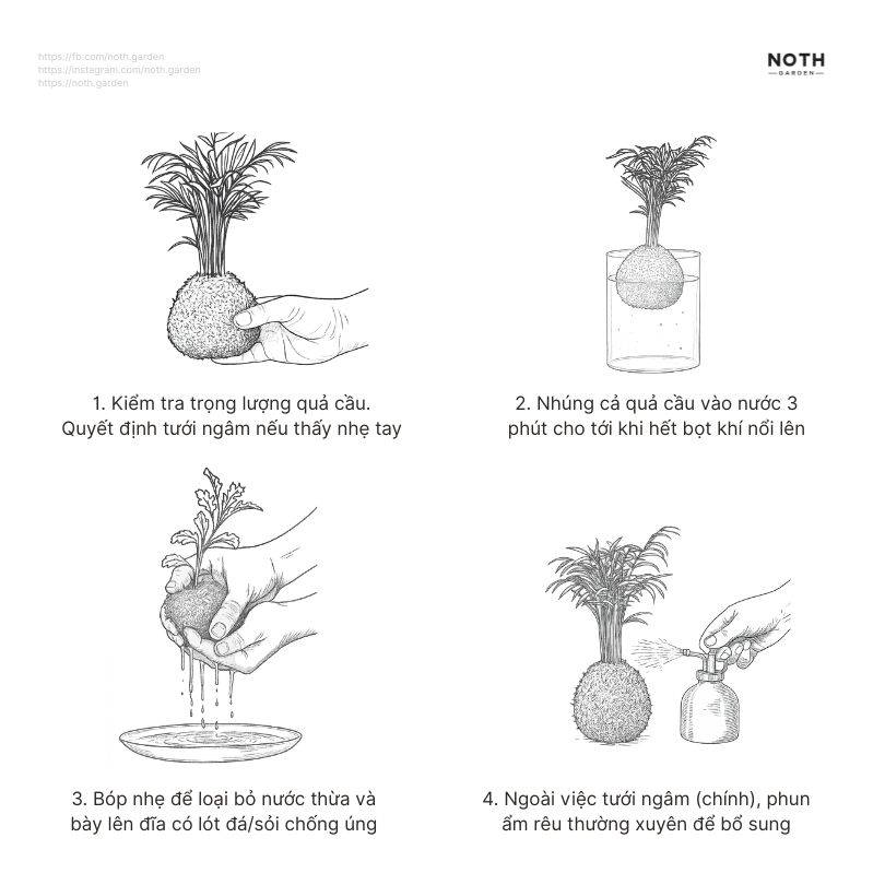 watering-kokedama
